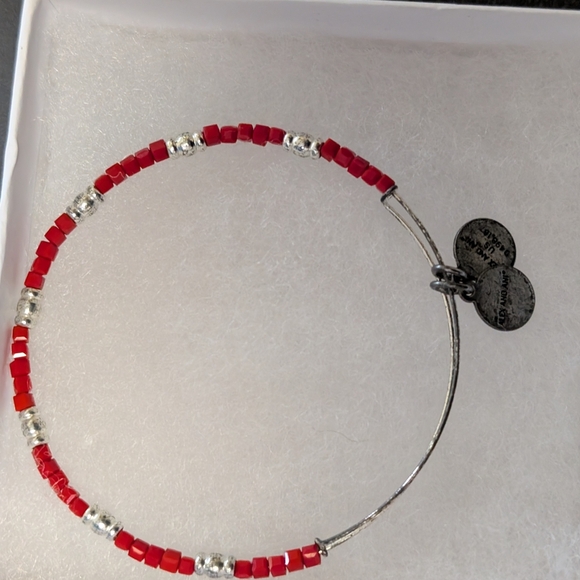 Alex and Ani Red and Silver Charm Bracelet (EUC) - Picture 1 of 4